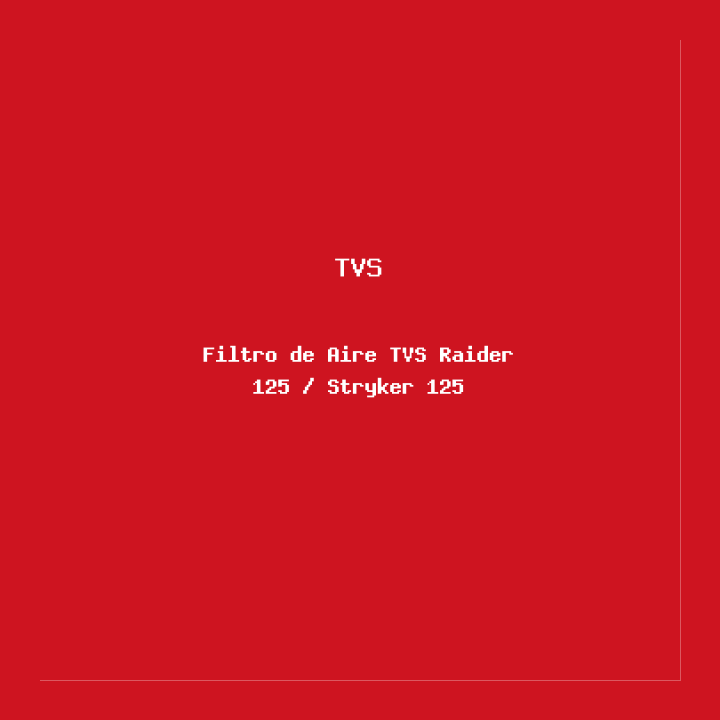 Filtro de Aire TVS Raider 125 / Stryker 125